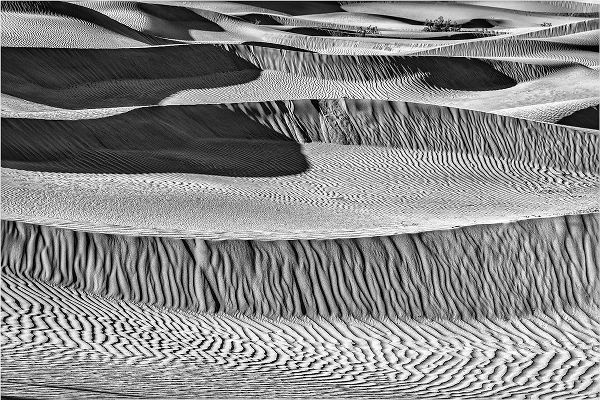 Ford, John 아티스트의 Mesquite Dunes-Death Valley National Park-California작품입니다.